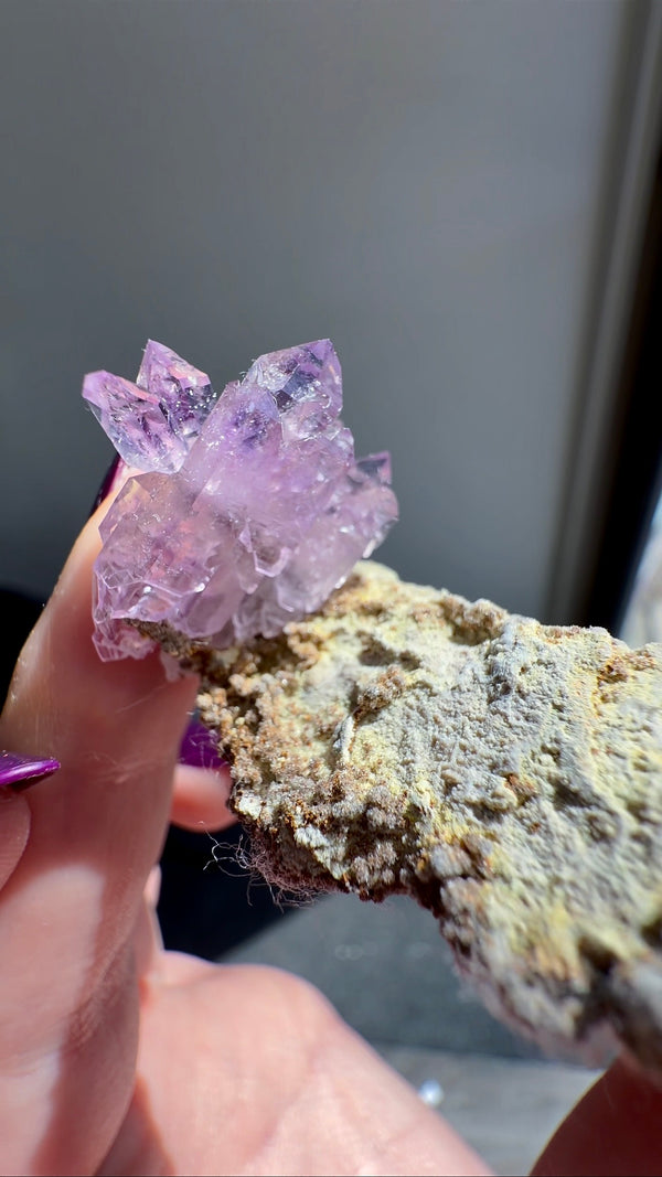 Amethyst "Flowers" with Sceptres & Reverse Sceptres on Matrix from "La Troje" Mine in Veracruz, Mexico (New Find!)