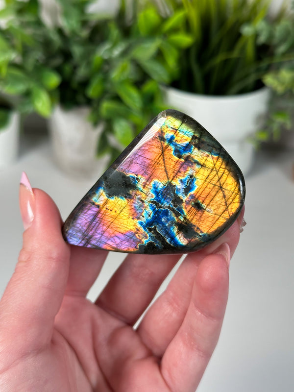 Labradorite Freeform From Madagascar