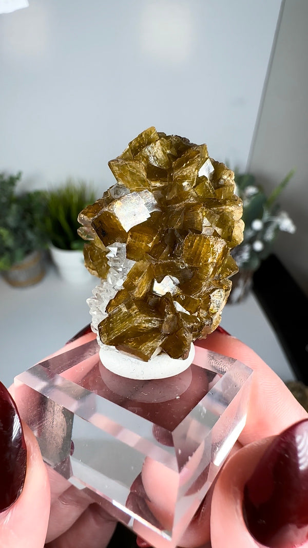 Siderite & Quartz - Damon and Pythias Mine, Washington, USA
