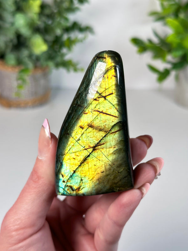 Labradorite Freeform From Madagascar