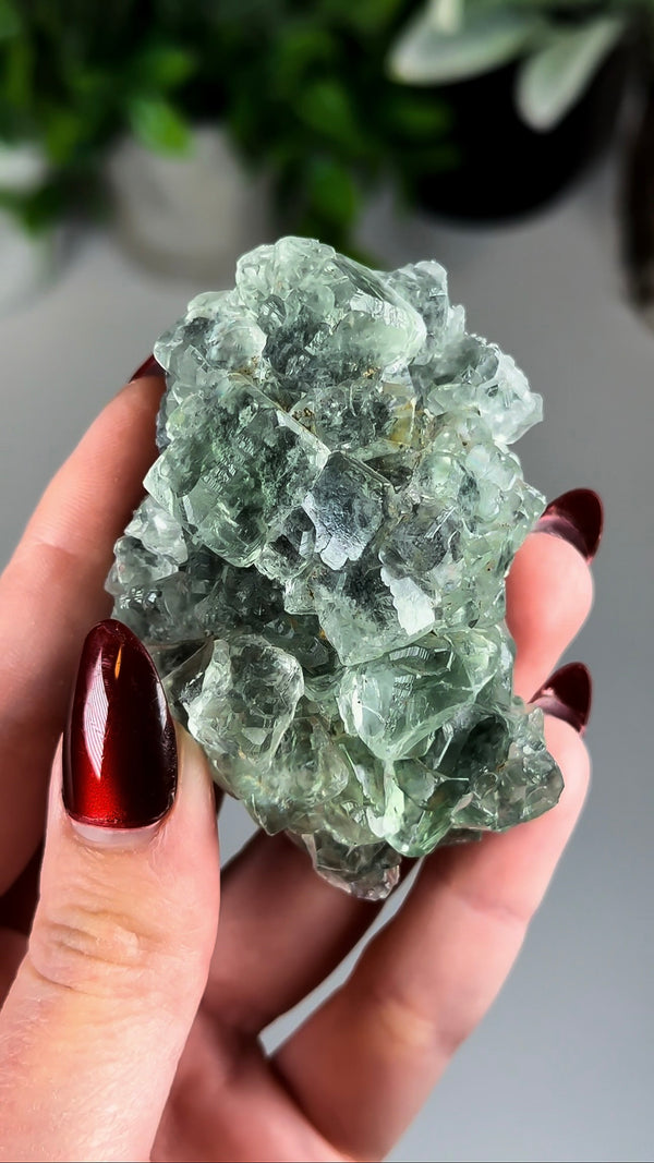 Glassy Green Fluorite with Beveled Edges from Xianghuapu Mine