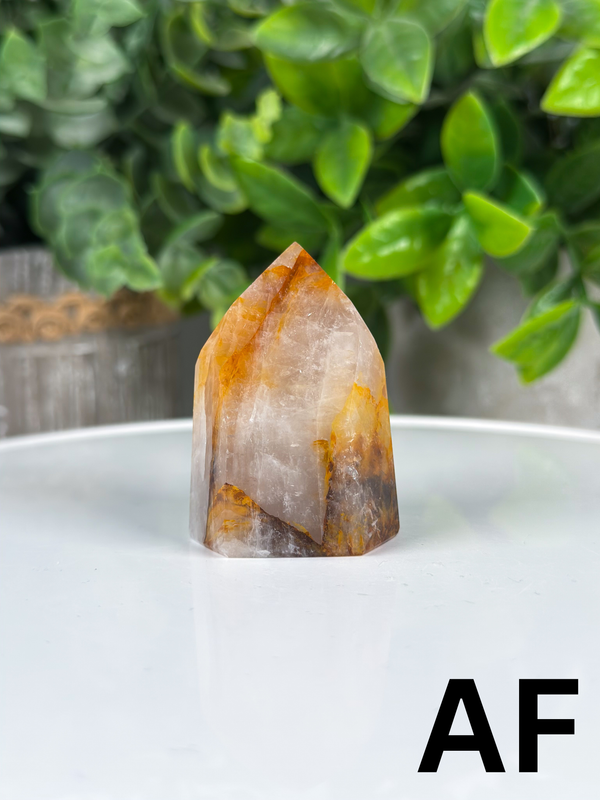 Golden Healer Towers From Brazil • Choose Your Own