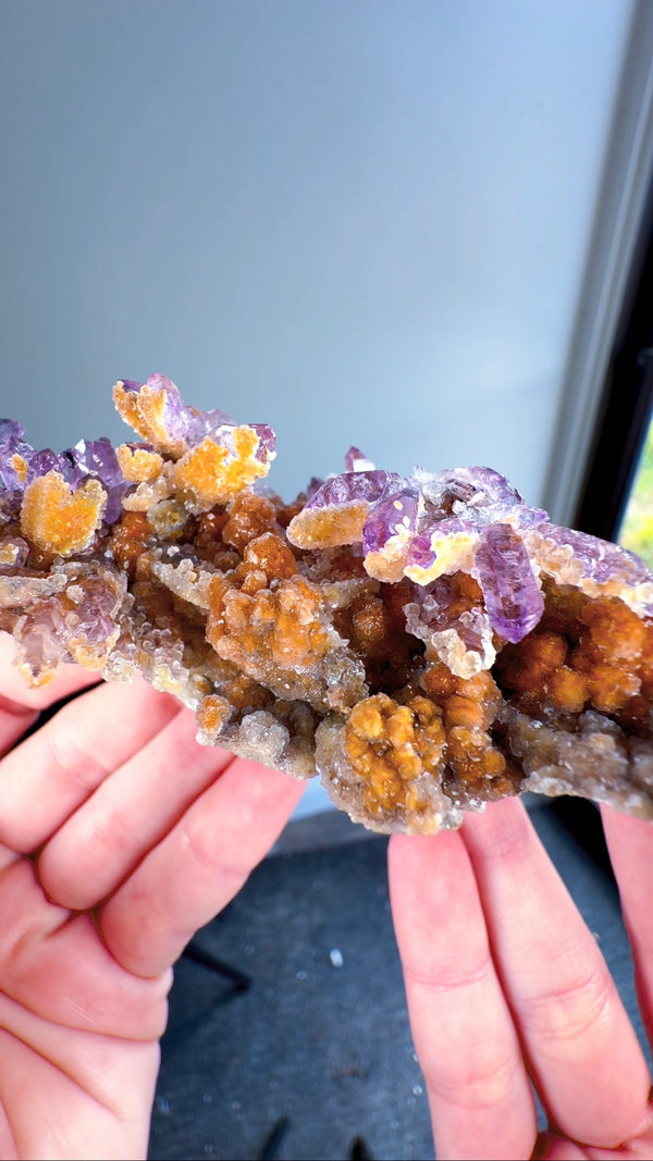Amethyst "Flowers" with Sceptres, Reverse Sceptres & Calcite Associations on Matrix from "La Troje" Mine in Veracruz, Mexico (New Find!)