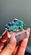 Azurite with Malachite Specimen from Spain - Rare Locale! • Old Stock (Mined in 2003)