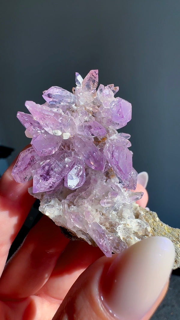Amethyst "Flowers" with Sceptres, Reverse Sceptres & Calcite Associations on Matrix from "La Troje" Mine in Veracruz, Mexico (New Find!)