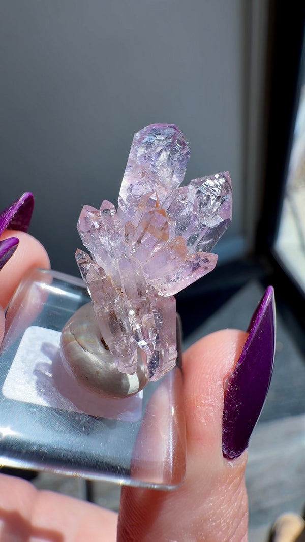 Amethyst "Flower" / "Starburst" with Sceptres & Reverse Sceptres from "La Troje" Mine in Veracruz, Mexico (New Find!)