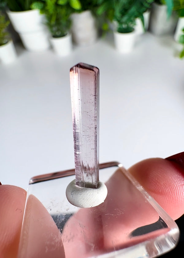 Pink Tourmaline Specimen from Paprok Mine