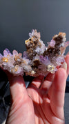 Amethyst "Flowers" with Sceptres, Reverse Sceptres & Calcite Associations on Matrix from "La Troje" Mine in Veracruz, Mexico (New Find!)