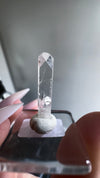 Gem Danburite Specimen from Aurora Mine, Charcas, San Luis Potosí, Mexico