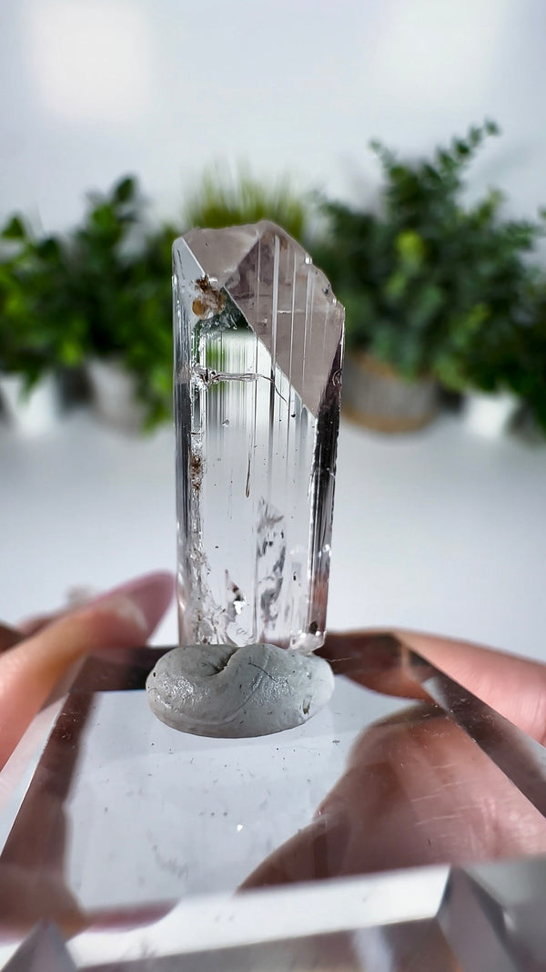 Gem Danburite Specimen from Aurora Mine, Charcas, San Luis Potosí, Mexico