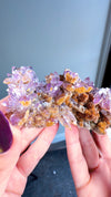 Amethyst "Flowers" with Sceptres, Reverse Sceptres & Calcite Associations on Matrix from "La Troje" Mine in Veracruz, Mexico (New Find!)