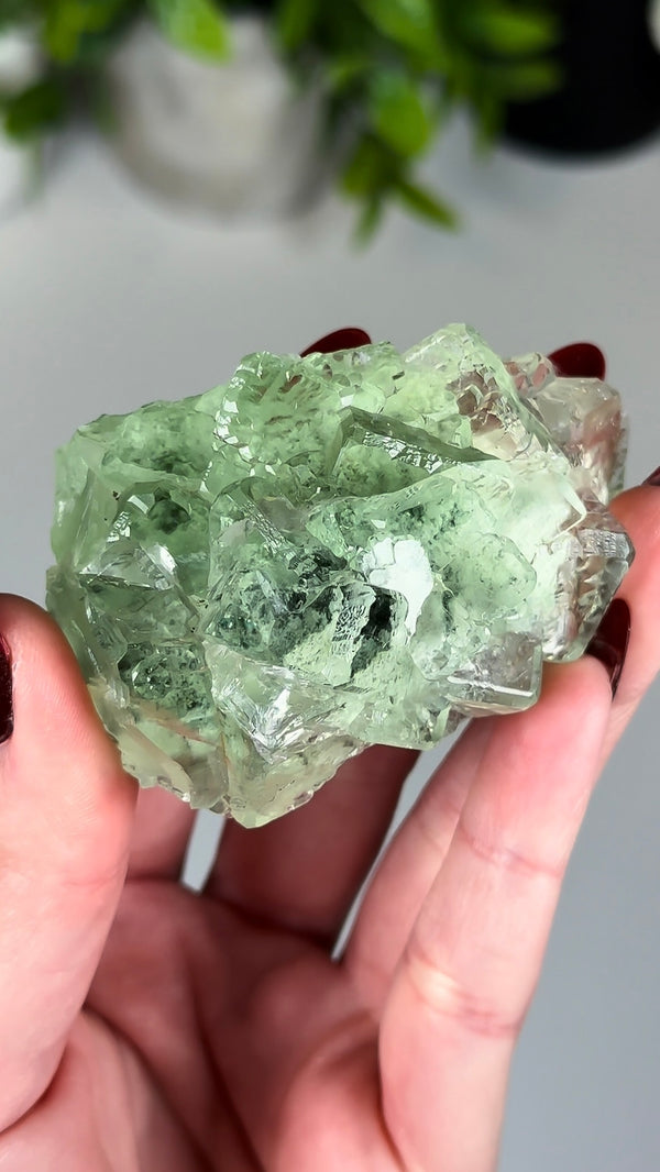 Glassy Apple Green Fluorite with Beveled Edges from Xianghuapu Mine