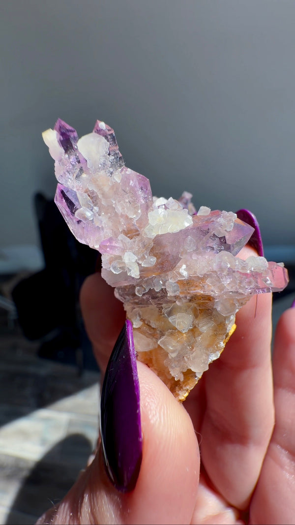 Amethyst "Flowers" with Sceptres, Reverse Sceptres & Calcite Associations on Matrix from "La Troje" Mine in Veracruz, Mexico (New Find!)