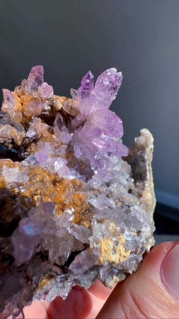 Amethyst "Flowers" with Sceptres, Reverse Sceptres & Calcite Associations on Matrix from "La Troje" Mine in Veracruz, Mexico (New Find!)