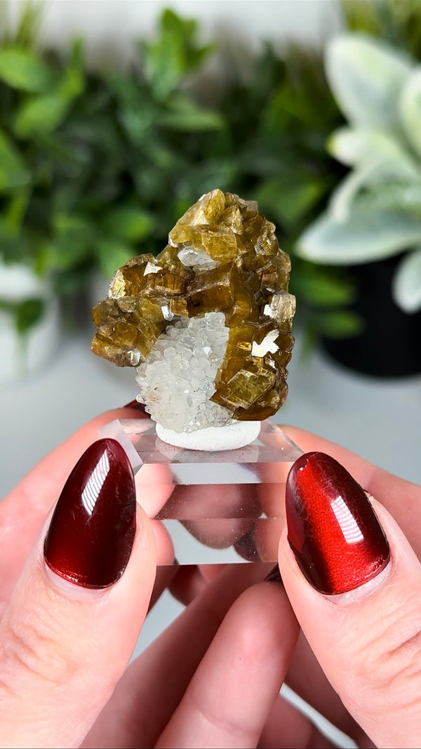 Siderite & Quartz - Damon and Pythias Mine, Washington, USA