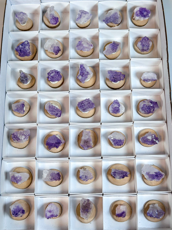 Fluorite from Tule Mine, Múzquiz Municipality, Coahuila, Mexico • ONE Intuitively Selected Múzquiz Fluorite Specimen