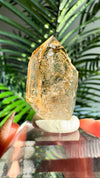 Enhydro Smokey Skeletal Fenster Quartz from Goboboseb Mountains, Brandberg Area, Erongo Region, Namibia