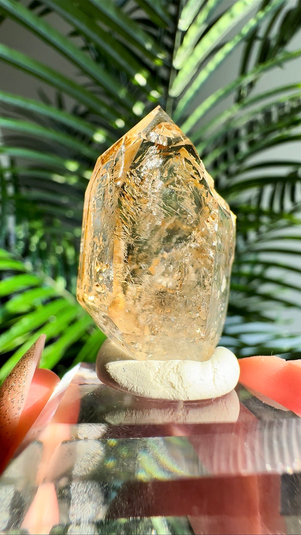 Enhydro Smokey Skeletal Fenster Quartz from Goboboseb Mountains, Brandberg Area, Erongo Region, Namibia