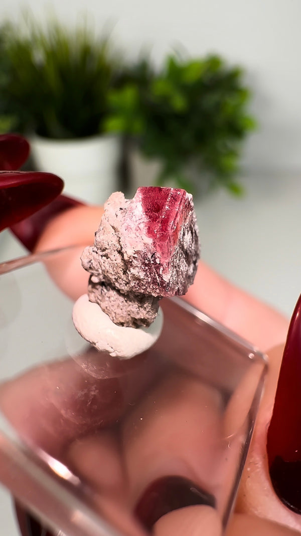 Scarlet Emerald (Red Beryl/Bixbite) from Thomas Range, Utah