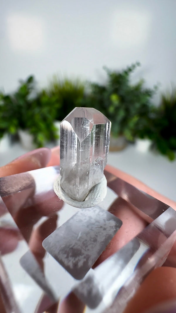 Gem Danburite Specimen from Aurora Mine, Charcas, San Luis Potosí, Mexico