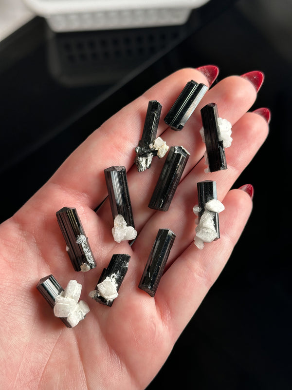 Terminated Black Tourmaline (Schorl) Specimens with Feldspar Inclusions from Skardu, Pakistan