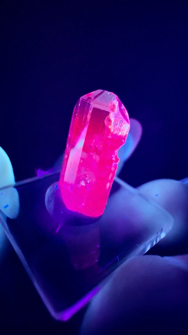 UV Reactive Imperial "Chrome" Topaz Specimen from Zambia • 2.28 g