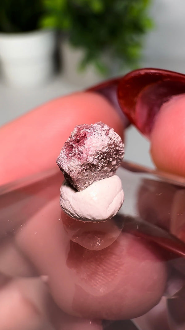 Scarlet Emerald (Red Beryl/Bixbite) from Thomas Range, Utah