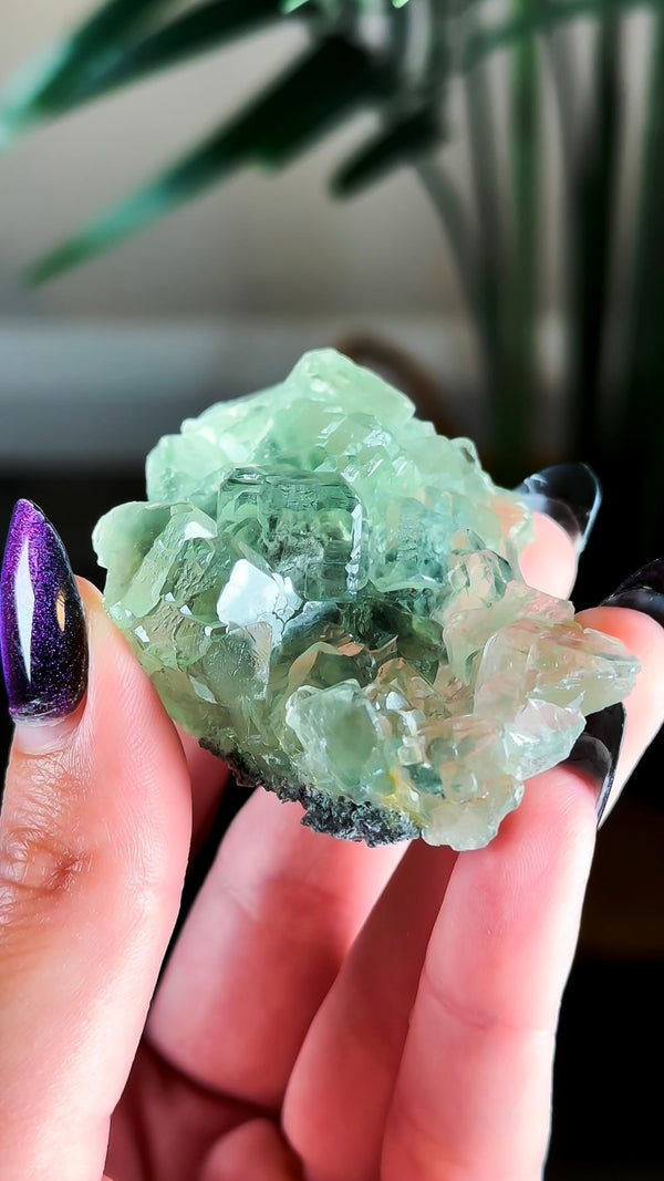 Glassy Apple Green Fluorite with Beveled Edges from Xianghuapu Mine