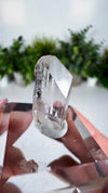Gem Danburite Specimen from Aurora Mine, Charcas, San Luis Potosí, Mexico