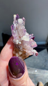 Amethyst "Flowers" with Sceptres, Reverse Sceptres & Calcite Associations on Matrix from "La Troje" Mine in Veracruz, Mexico (New Find!)