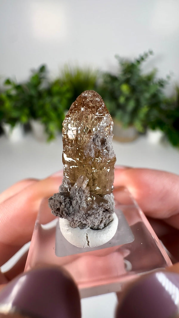 Etched Topaz from Thomas Range, Juab County, Utah, USA