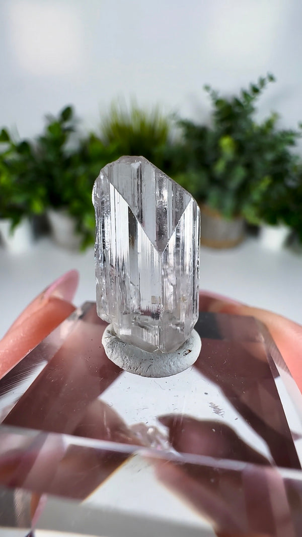 Gem Danburite Specimen from Aurora Mine, Charcas, San Luis Potosí, Mexico