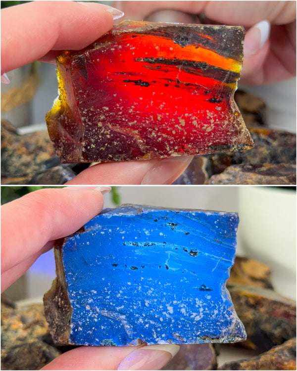 Raw Sumatran Blue Amber from Indonesia • ONE Intuitively Selected UV Reactive Indonesian Amber Raw Chunk Specimen