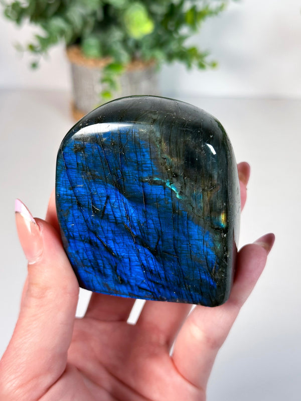 Labradorite Freeform From Madagascar