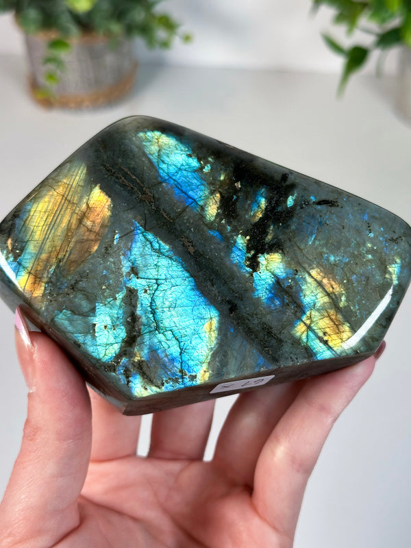 Labradorite Freeform From Madagascar