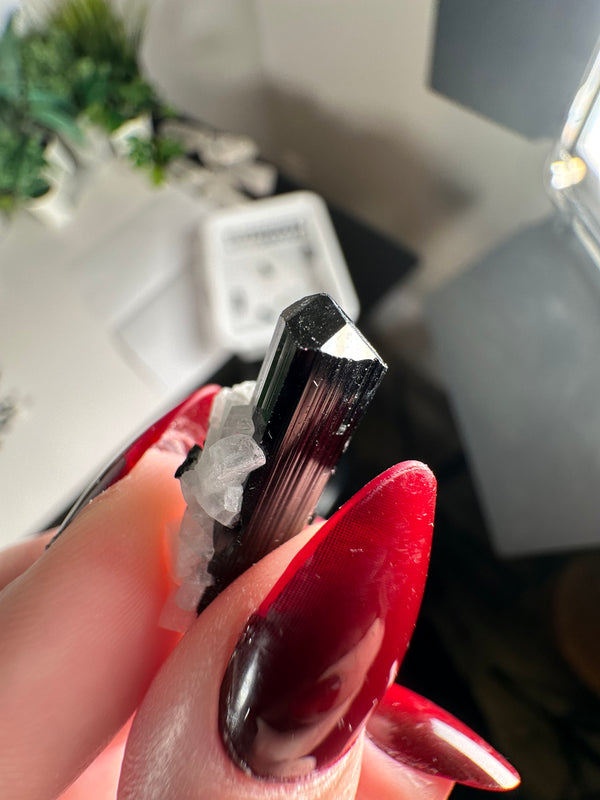 Terminated Black Tourmaline (Schorl) Specimens with Feldspar Inclusions from Skardu, Pakistan