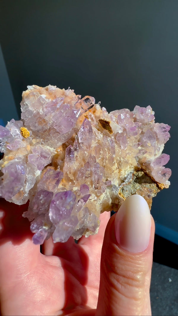 Amethyst "Flowers" with Sceptres, Reverse Sceptres & Calcite Associations on Matrix from "La Troje" Mine in Veracruz, Mexico (New Find!)