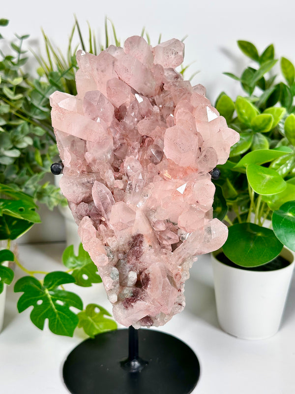 Himalayan Pink Samadhi Quartz Cluster with Chlorite and Lodalite Inclusions • XL Pink Samadhi Quartz w/ Custom Display Stand