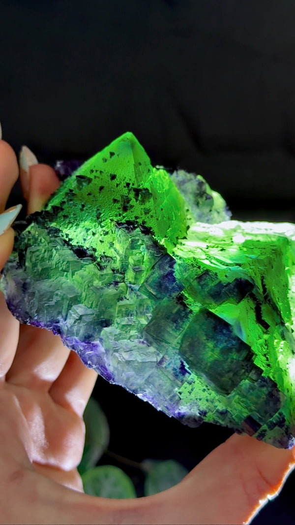 Octahedral Green, Purple & Blue Fluorite With Second Generation Purple Cubic Fluorite Crystallization and Pyrite Associations from Huaiyu Mountain, Shangrao City, Jiangxi Province, China