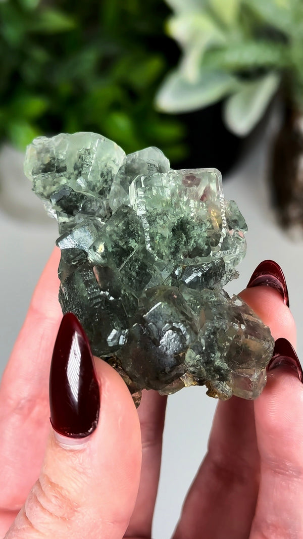 Glassy Green Fluorite with Beveled Edges from Xianghuapu Mine