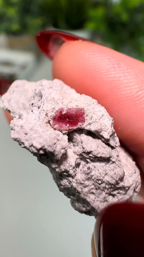Scarlet Emerald on Rhyolite Matrix (Red Beryl/Bixbite) from Thomas Range, Utah