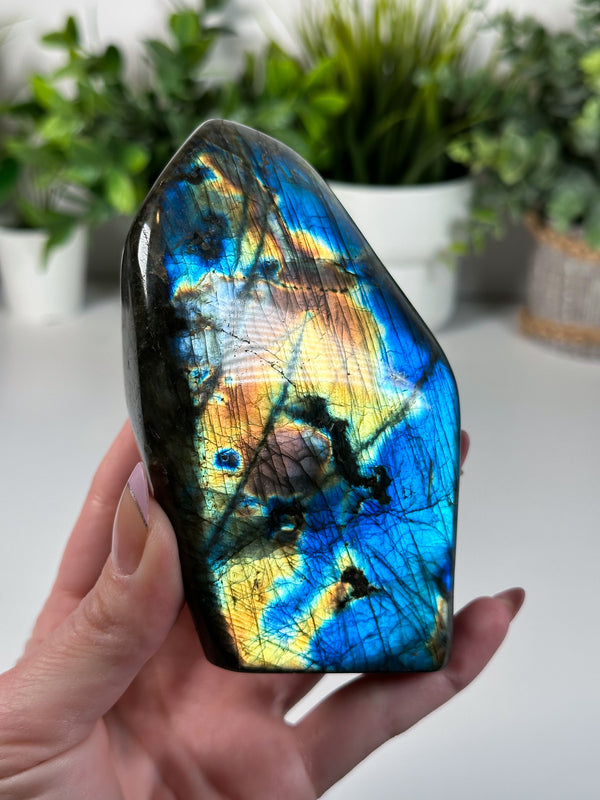 Labradorite Freeform From Madagascar