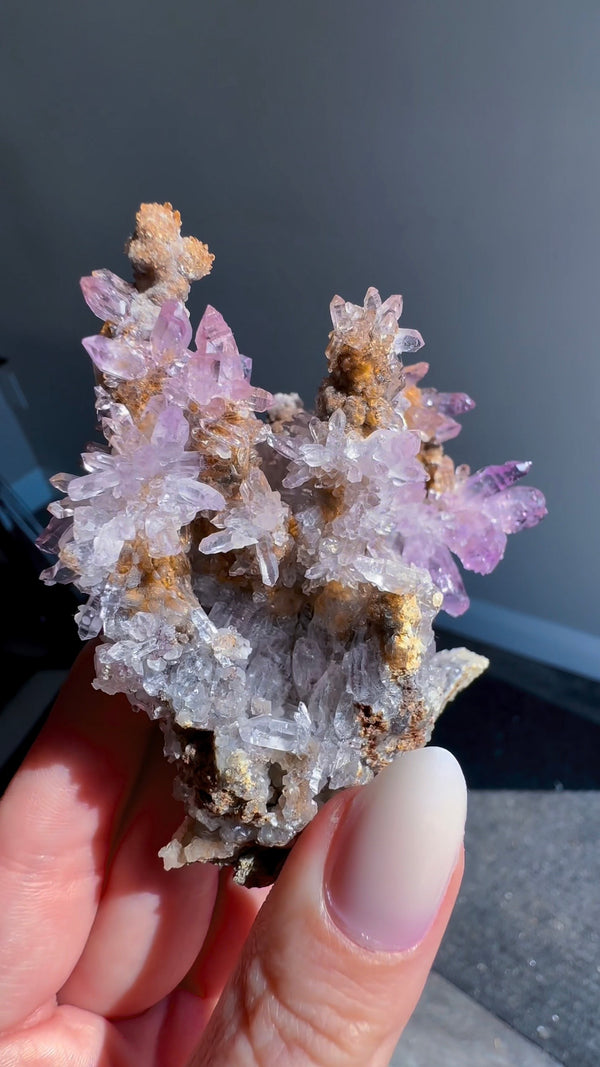 Amethyst "Flowers" with Sceptres, Reverse Sceptres & Calcite Associations on Matrix from "La Troje" Mine in Veracruz, Mexico (New Find!)