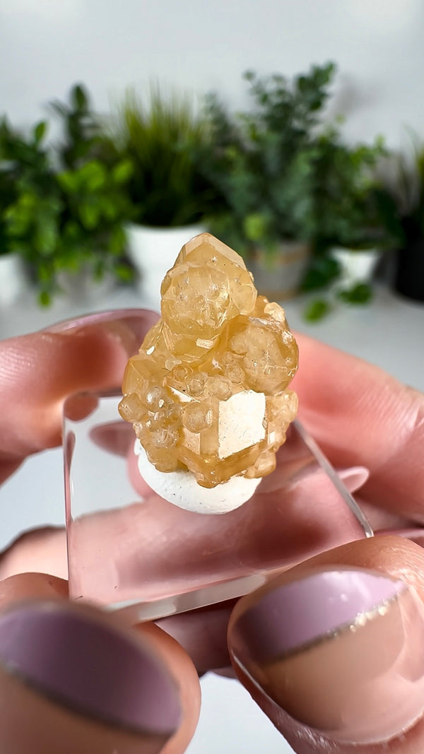 Grossular “Honey” Garnet — Hebei Province, China (2012 Find)