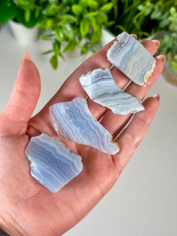 Blue Lace Agate Mini Polished Freeform Slabs from South Africa! • ONE Intuitively Selected Blue Lace Agate Slice