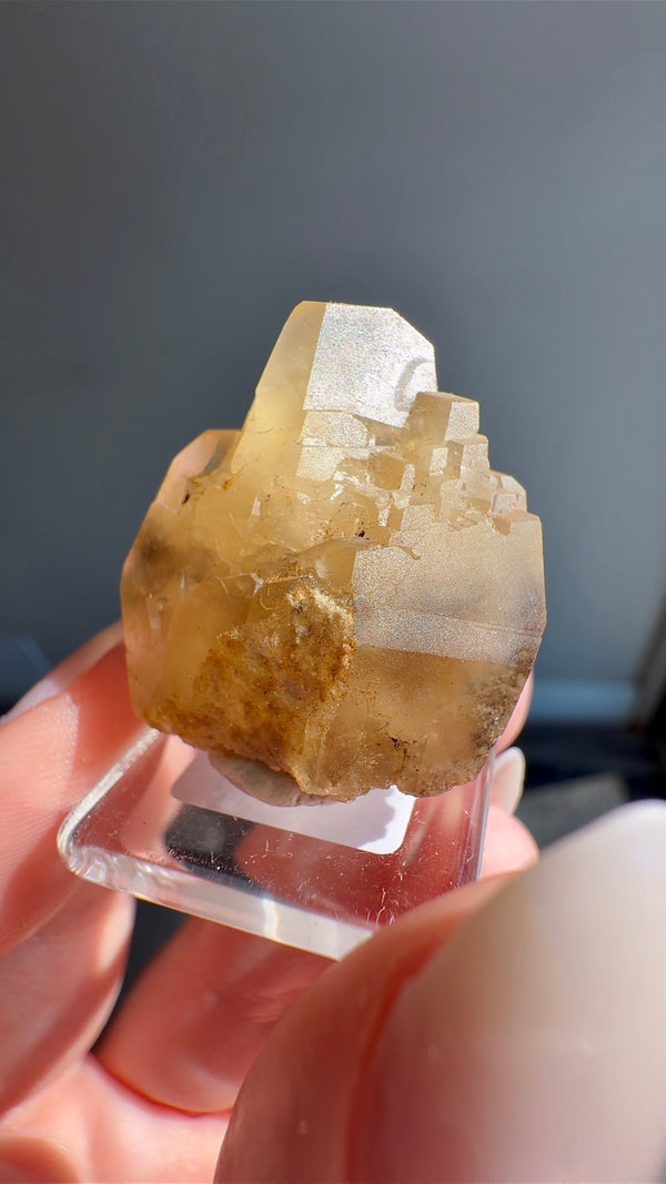 Calcite from North Vernon, Jennings County, Indiana, USA