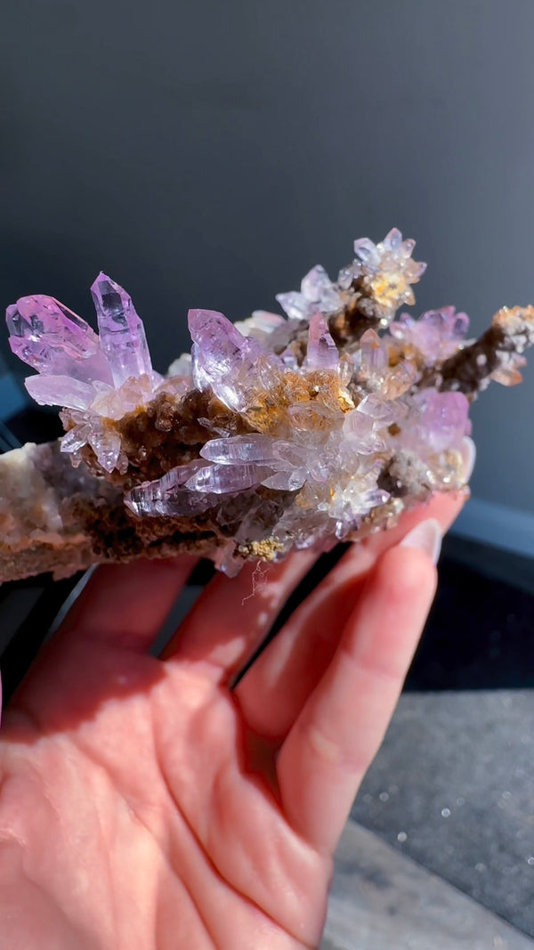 Amethyst "Flowers" with Sceptres, Reverse Sceptres & Calcite Associations on Matrix from "La Troje" Mine in Veracruz, Mexico (New Find!)