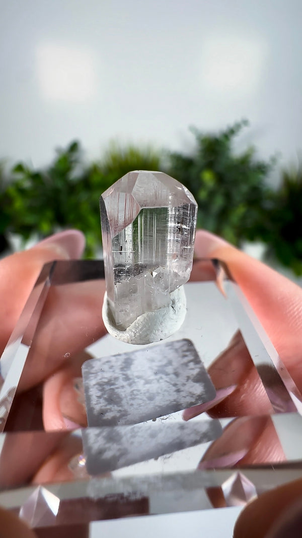 Gem Danburite Specimen from Aurora Mine, Charcas, San Luis Potosí, Mexico