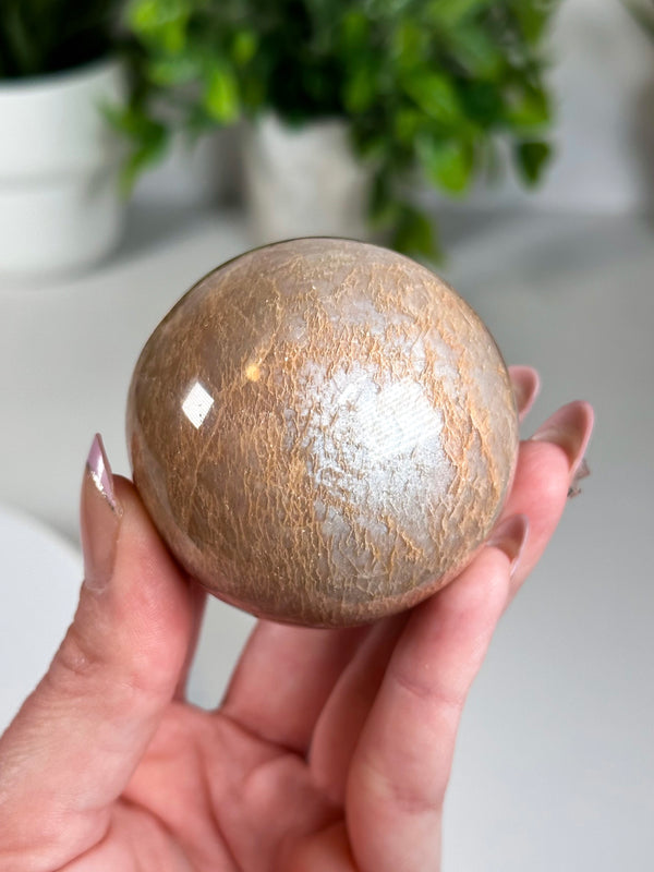 Flashy Peach Moonstone Sphere from Madagascar