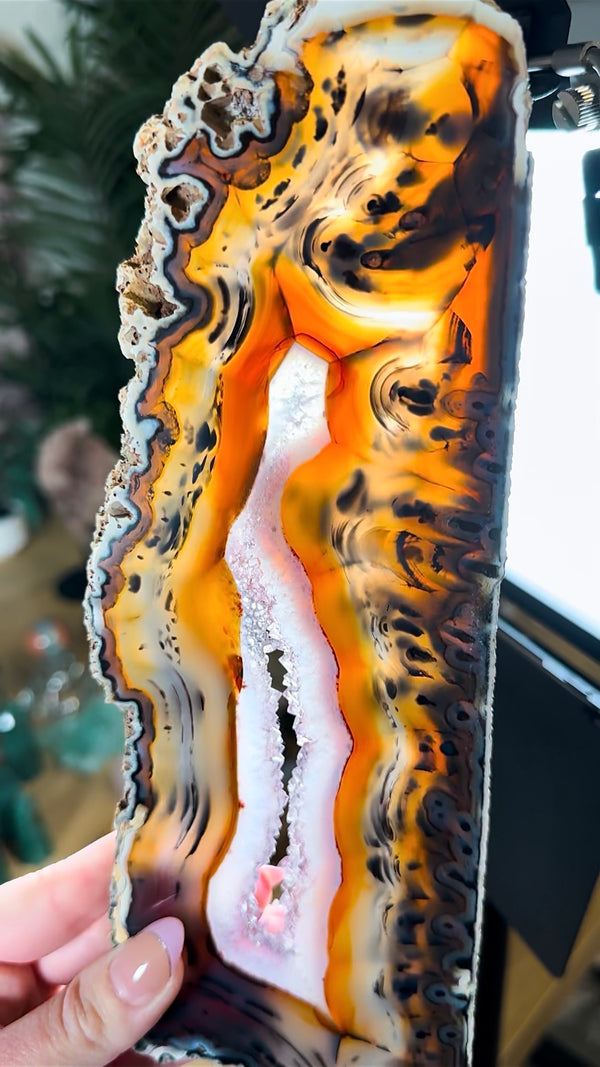 Agate Pair from Soledade, Rio Grande do Sul, Brazil • Top Quality Agate Display Slabs Set of 2 with Custom Wooden Stands